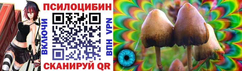 Купить закладки  Бузулук  Галлюциногенные грибы прущие грибы 