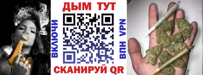 Купить  Бузулук  Шишки марихуана марихуана 